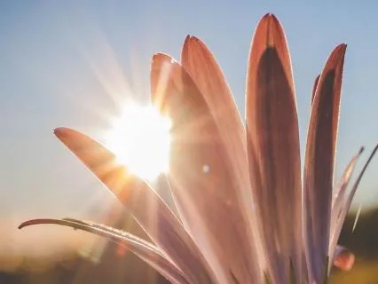 Soul-Aligned Identity Shifting: Channel Your Next-Level