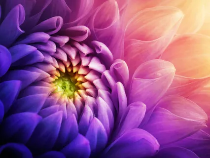 Soul Alignment Prayer