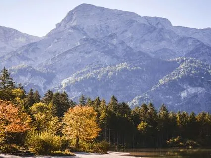 Soul Awakening: 639 Hz For Heart Connection