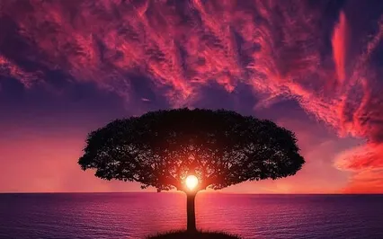 Soul Awakening: An Aural Journey With Binaural Beats