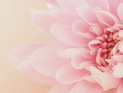 Soul Awakening: Discovering Our Light