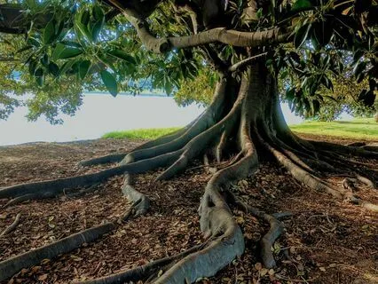 Soul Awakening: Release And Transform