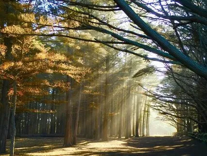 Soul Awakening: Shamanic Pulse Of Peace