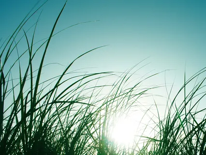 Soul Breath Meditation