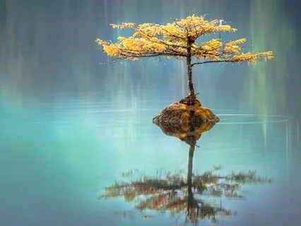 Embrace Your Uniqueness