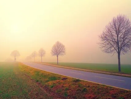 Soul Compass: A Guide To Life's Path