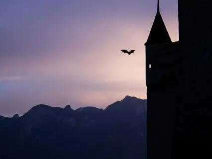 Bat Spirit Animal Message: Trust & Embrace Change