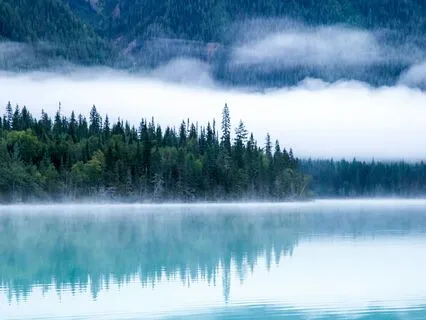 Soul Compass: Wisdom Of The Octopus