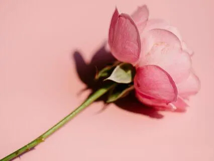 Soul Contracts Sleep Meditation: Release Soul Contracts