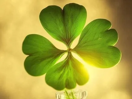 Soul Desire : Time-Friendly Affirmations