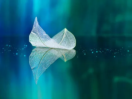 Soul Energy Alignment: Forgiveness & Awakening