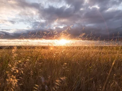 Soul Energy Alignment