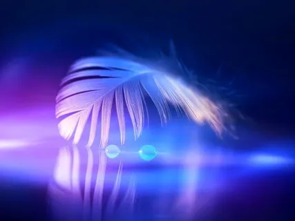 Soul Energy Awakening: Connect With Your Soul Tribe - Collective Deep Healing