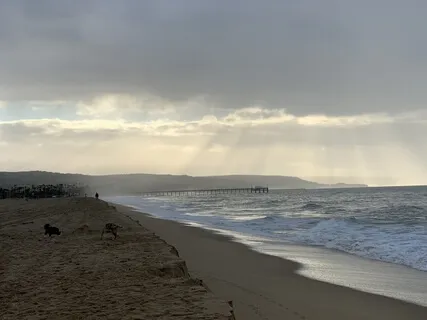 Soul Intention Manifesting (Talk And Meditation)