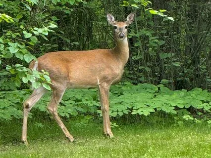 Soul Journey Soundscape