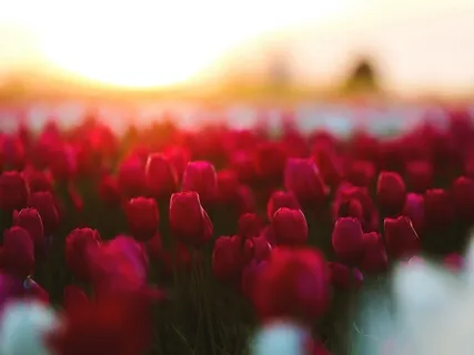 Connecting To The Heart & Soul