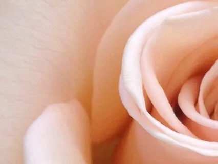 Soul Message Visualization