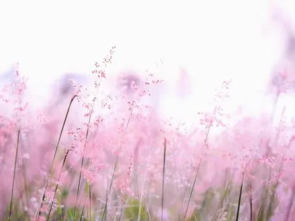 Soul Renewal 333hz Emotional Healing