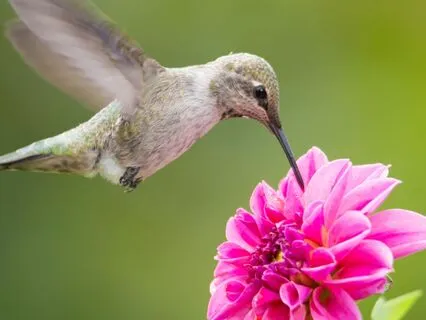 Soul Rescue: Healing Breath Through The Darkest Moments