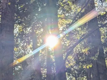 Soul Retrieval Meditation