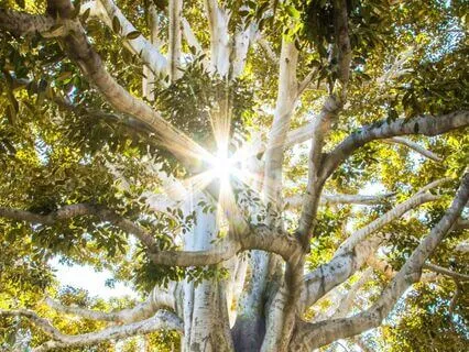 Soul's Expansion: For Healing, Positive Energy & Higher Self