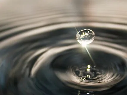 Soul's Purpose Amidst Evolutionary Challenges