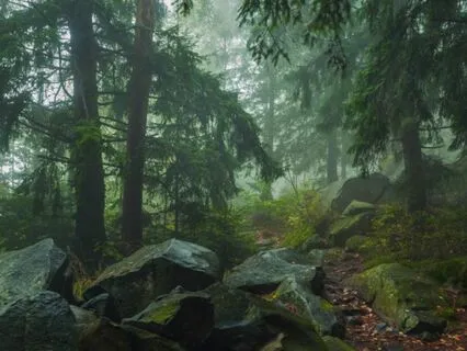 Soul's Purpose Meditation