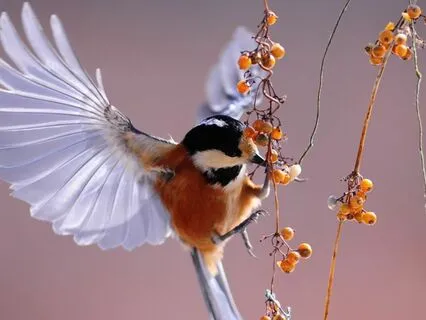 Soul's Purpose Unveiled