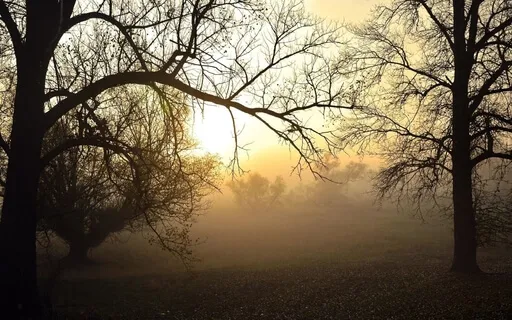 Soul Sankalpas- Affirmations To Elevate The Soul