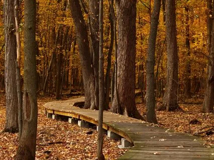 Soul Trek: A Bright Journey Into Hanuman's Realm