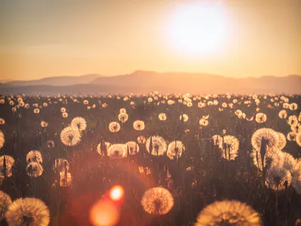 Souldivine Moment - Rooted In Financial Wealth