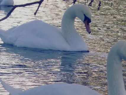 Lyrical Piano For Reflection And Relaxation - Soulful Echos