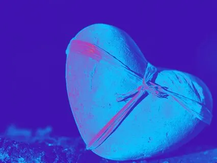 Soulful Journeys: Embracing Vulnerability