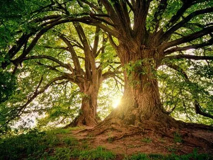 Soulful Journeys - How To Cultivate Meaningful Relationships