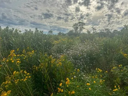 Soulful Prosperity Empowerment Activation