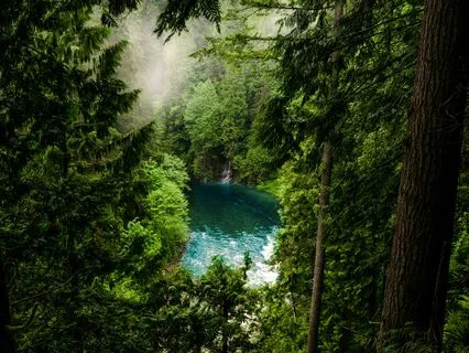 Soulful Resonance - Echoes Of Ancestors