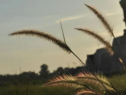 Soulful Rest | Peaceful Night Music