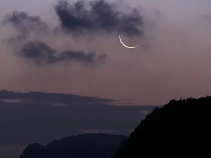 Soulful Silhouettes- Ancestral Echoes