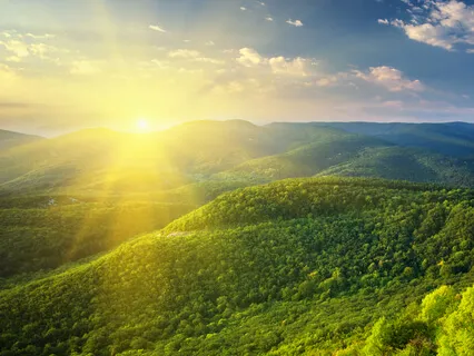 Soulful Singing Bowls