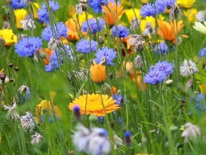 Soulful Summer Affirmations For Light, Gratitude & Joy