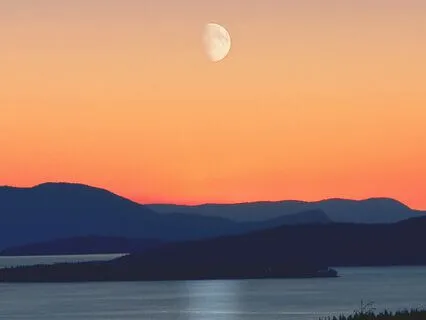 Soulwaves: A Future History Part #7