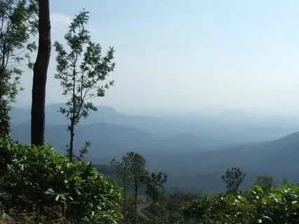 Sound & Silence Meditation