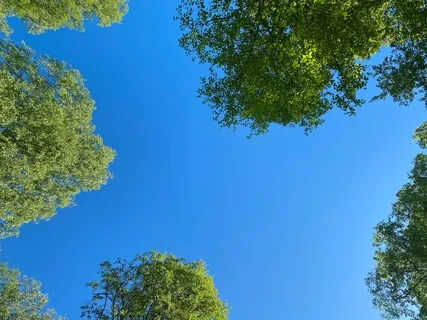 Sound - A Six Elements Meditation