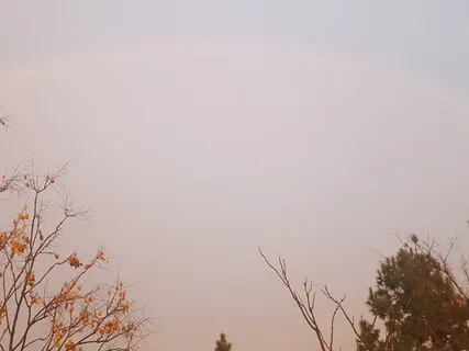 Sound Alchemy For Habit Disruption (Binaural Frequency)