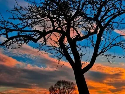 Sound Balm For Healing And Well-Being