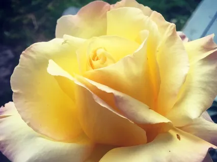 Sound Bath - Bringing In Light