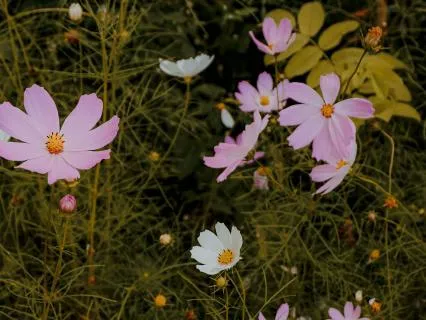 Sound Bath For Clarity