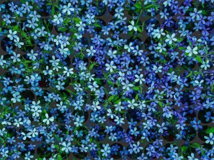 Sound Bath For Grounding