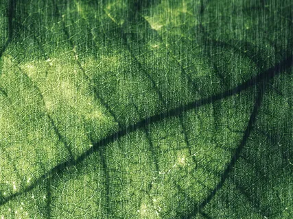 Sound Bath For Intuition Part 1