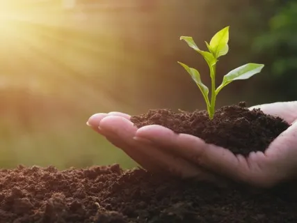 Sound Bath For Manifestation